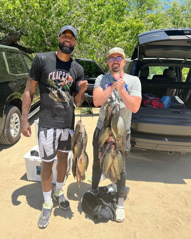 不利信息被 不利信息被